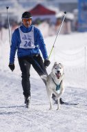 Lenk 2013